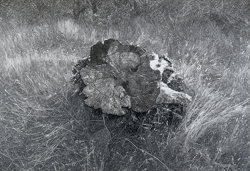 Deniz Aktas, Untitled, 2019 Deniz Aktas, Untitled, 2019