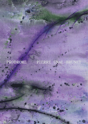Catalogue Pierre Unal-Brunet