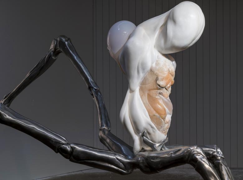 Metempsychosis, Ivana Bašić 