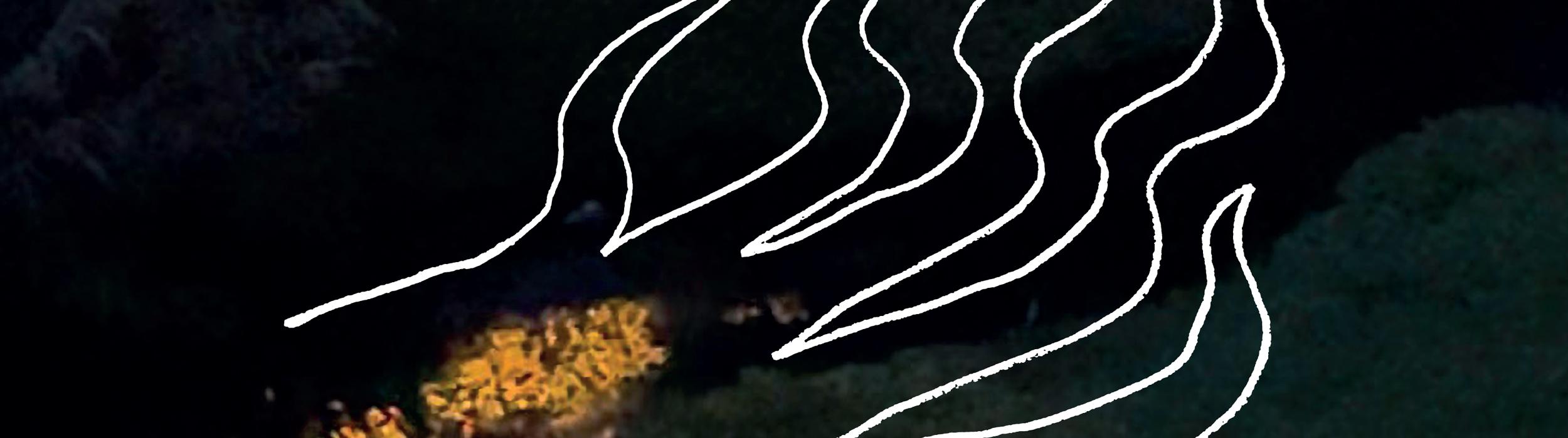 Tasting the Fire, Melika Sadeghzadeh