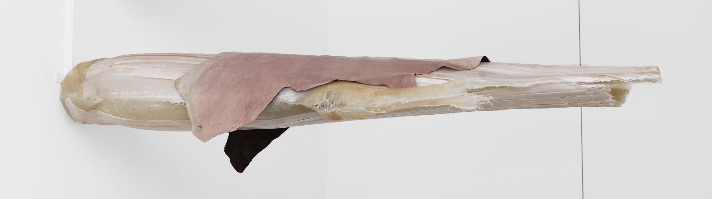 June Crespo, Détail