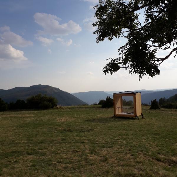 100 artists in the city - ZAT 2019 100 artists in the city - ZAT 2019