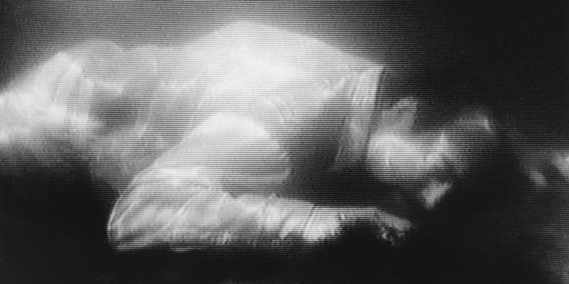Bill Viola, "The Passing", 1991. Ars Aevi, Sarajevo, Bosnie-Herzégovine © Bill Viola Studios
