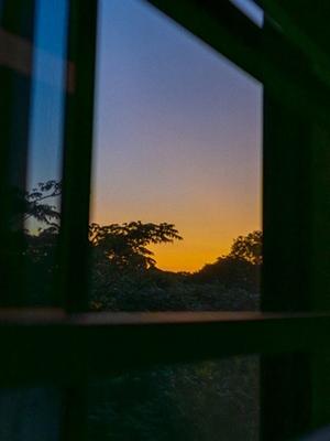 Lever du soleil à Yakushima, 17 novembre 2025 — photo Mark Geffriaud
