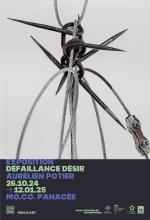 Défaillance désir, Aurélien Potier