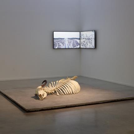 Ozan Atalan, "Monochrome", 2019 © Marc Domage