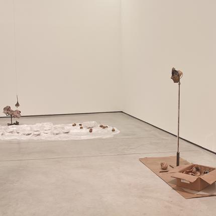 Rochelle Goldberg, "Digesting Gold", 2018 et "Growing", 2018 © Marc Domage